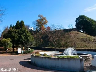 あんずの丘