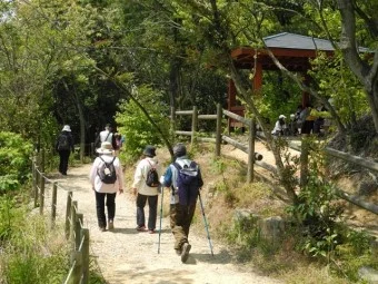 篠栗九大の森