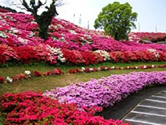 西海国立長串山公園