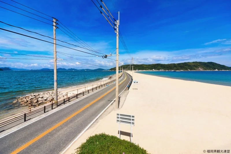志賀島