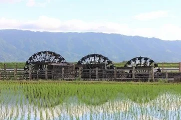 朝倉の水車群