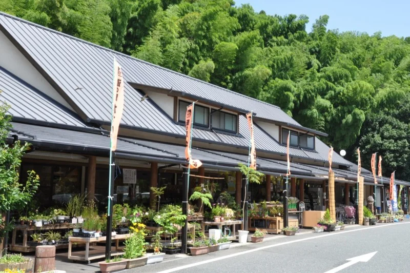 道の駅たちばな