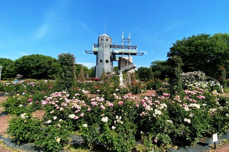 熊本県農業公園 カントリーパーク