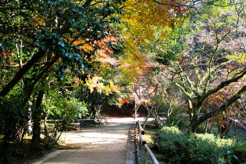 立田自然公園