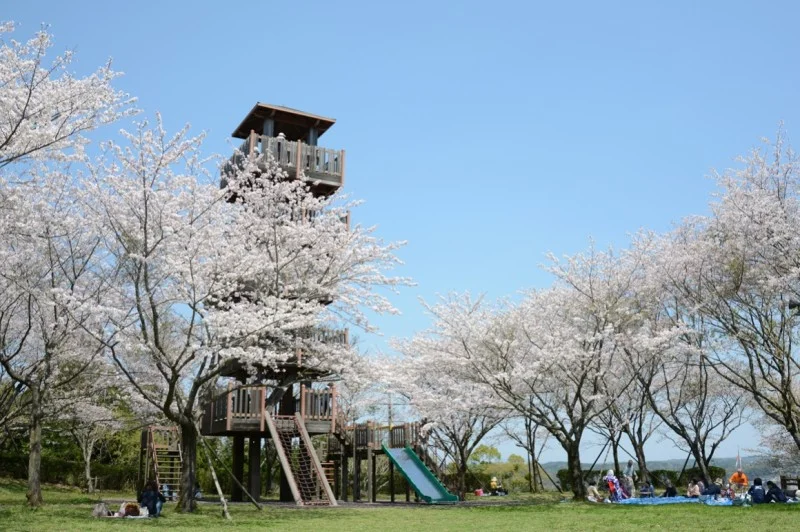 城山公園（一宇治城跡）