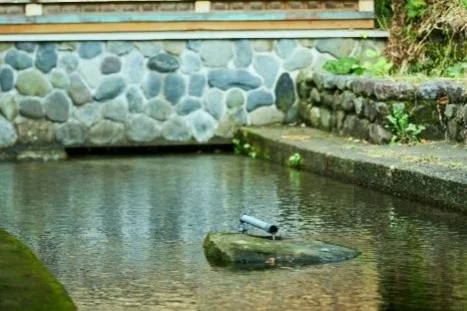 清水の湧水