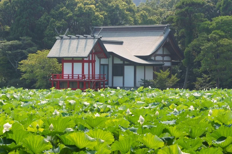 湖水ヶ池