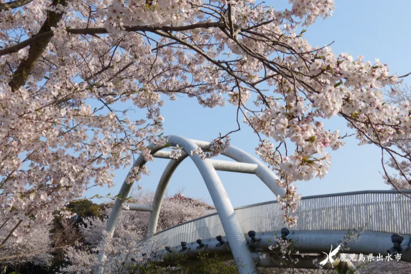 東光山公園
