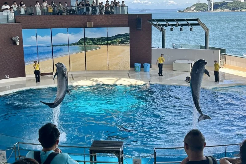 海響館