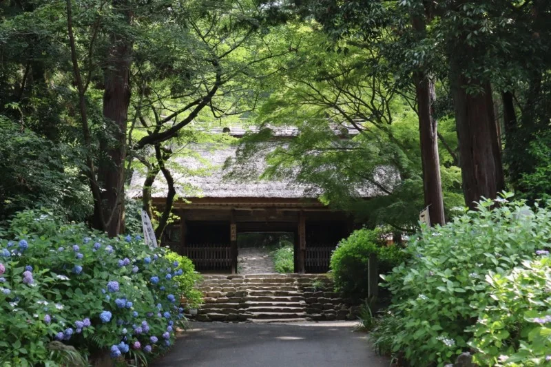 東大寺別院阿弥陀寺