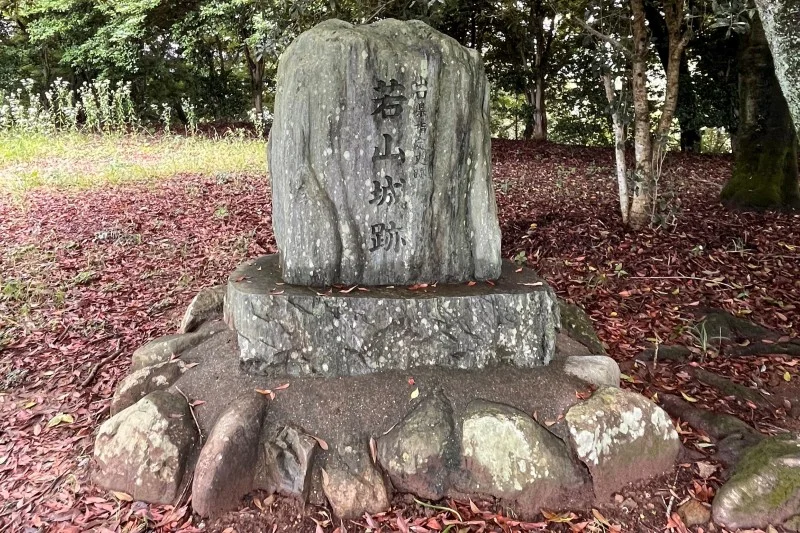 若山城跡