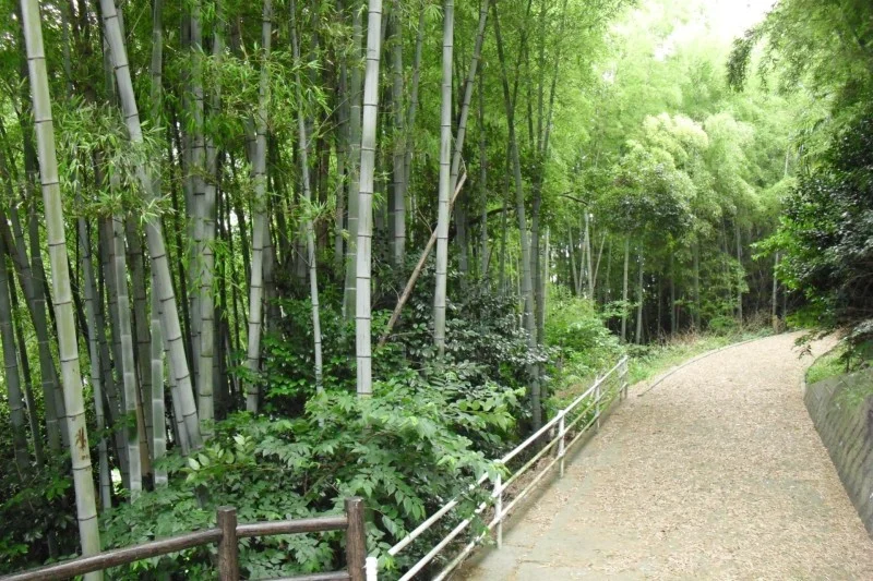 鈴熊山公園