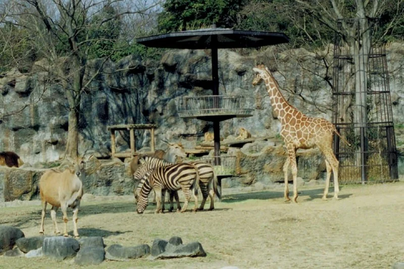 愛媛県立とべ動物園