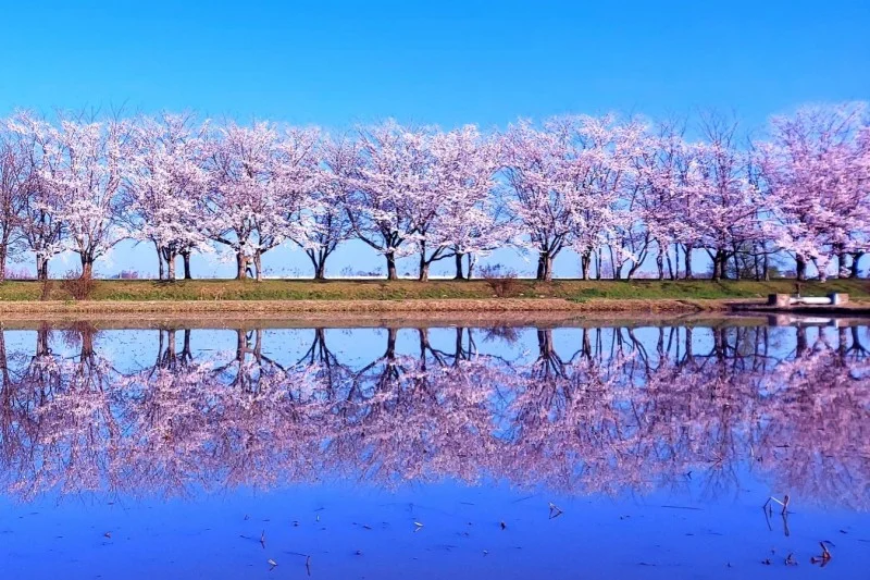 木場潟公園