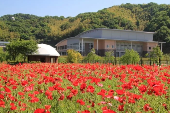 冒険の森　下松スポーツ公園